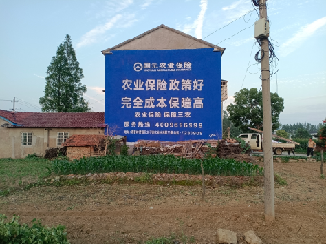 襄阳墙体广告的优劣势你知道吗？